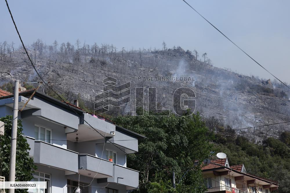 Apocalyptic Turkey Wildfires Spread By Record 50C Heatwave - Bursa