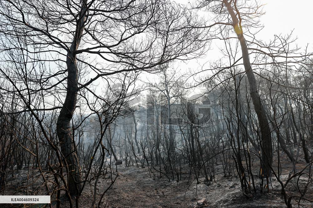 Apocalyptic Turkey Wildfires Spread By Record 50C Heatwave - Bursa