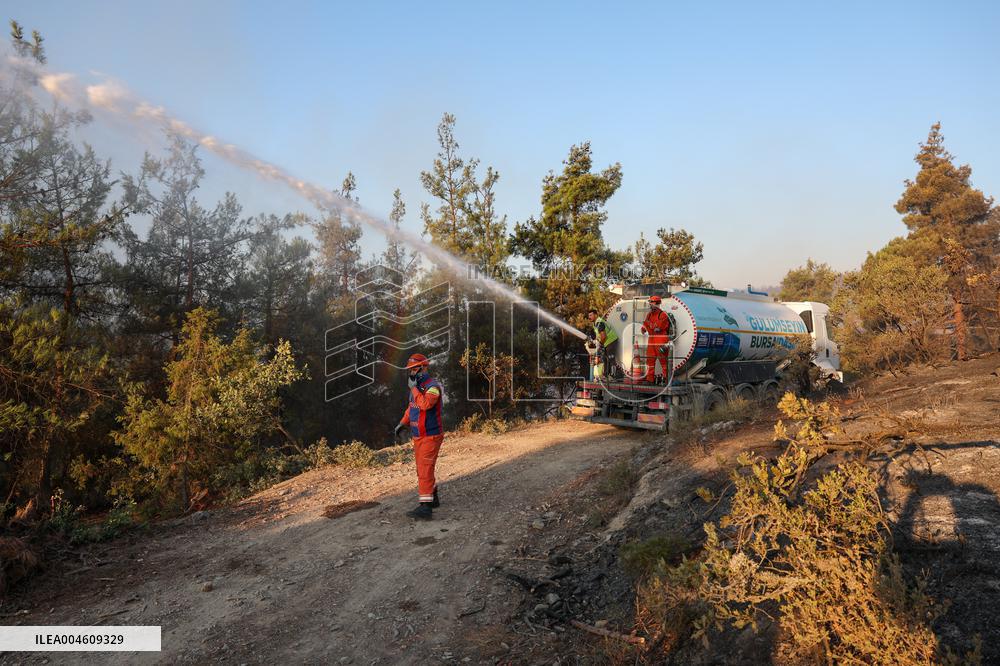 Apocalyptic Turkey Wildfires Spread By Record 50C Heatwave - Bursa