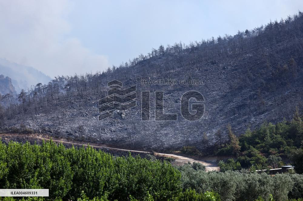 Apocalyptic Turkey Wildfires Spread By Record 50C Heatwave - Bursa