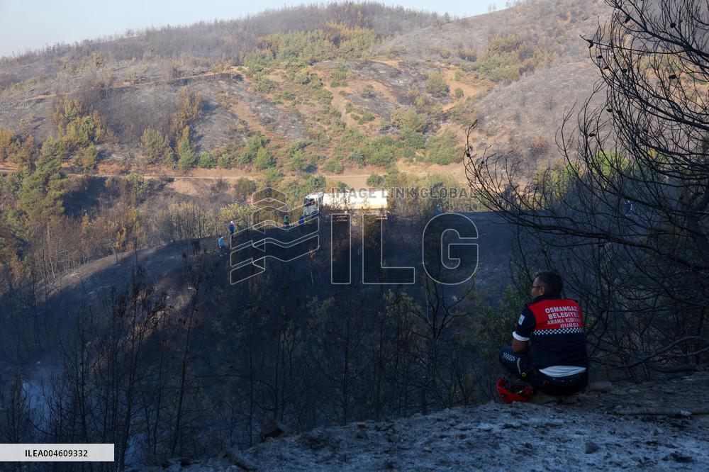 Apocalyptic Turkey Wildfires Spread By Record 50C Heatwave - Bursa