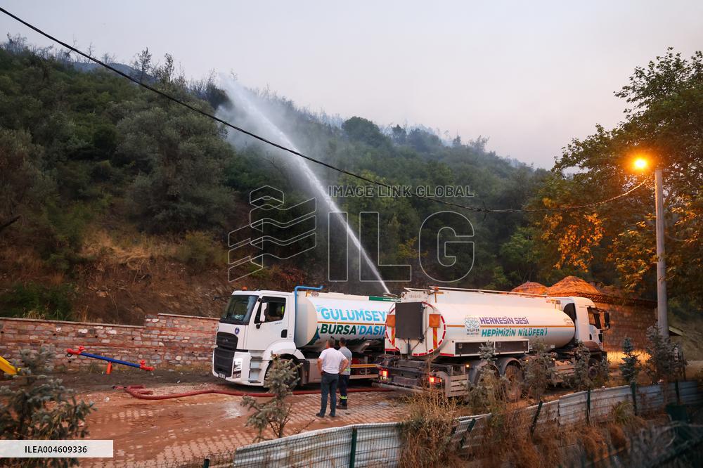 Apocalyptic Turkey Wildfires Spread By Record 50C Heatwave - Bursa
