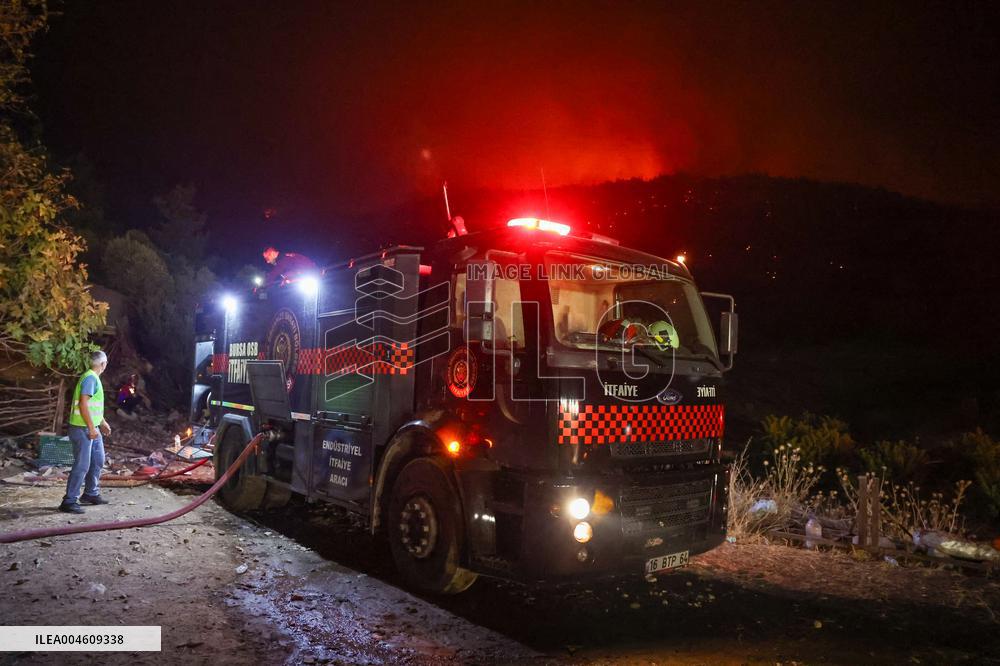 Apocalyptic Turkey Wildfires Spread By Record 50C Heatwave - Bursa