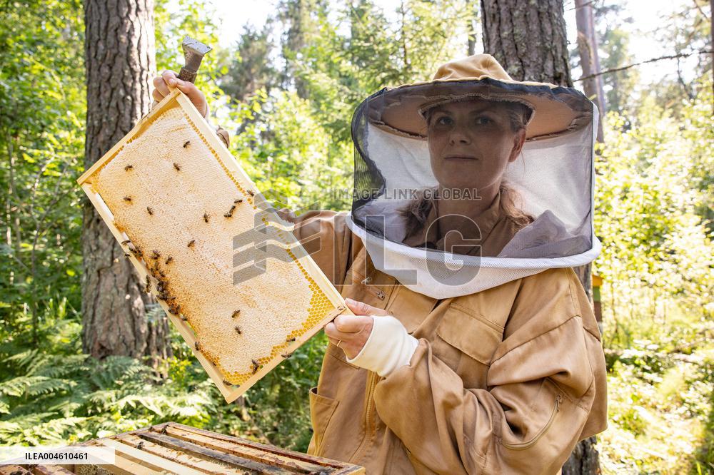 Beekeeping