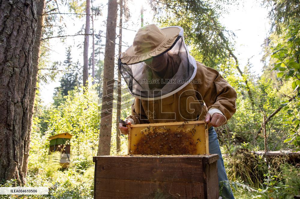Beekeeping