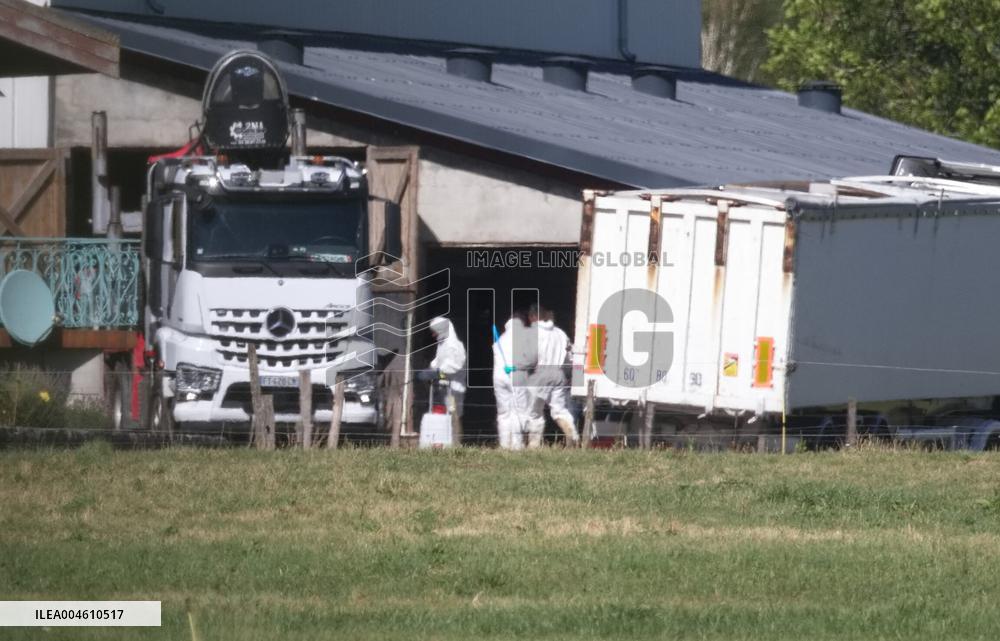 Bovine Lumpy Skin Epidemic Spreads in France - Saint Ferreol