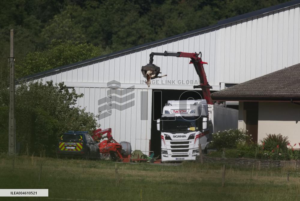 Bovine Lumpy Skin Epidemic Spreads in France - Saint Ferreol