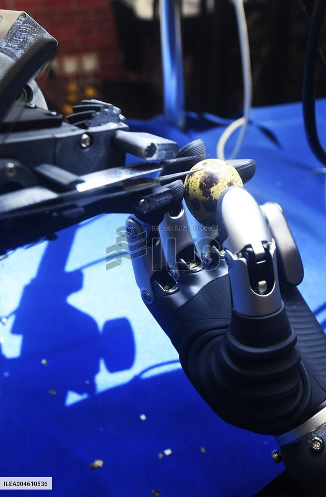 Robot Performance at 2025 WAIC in Shanghai