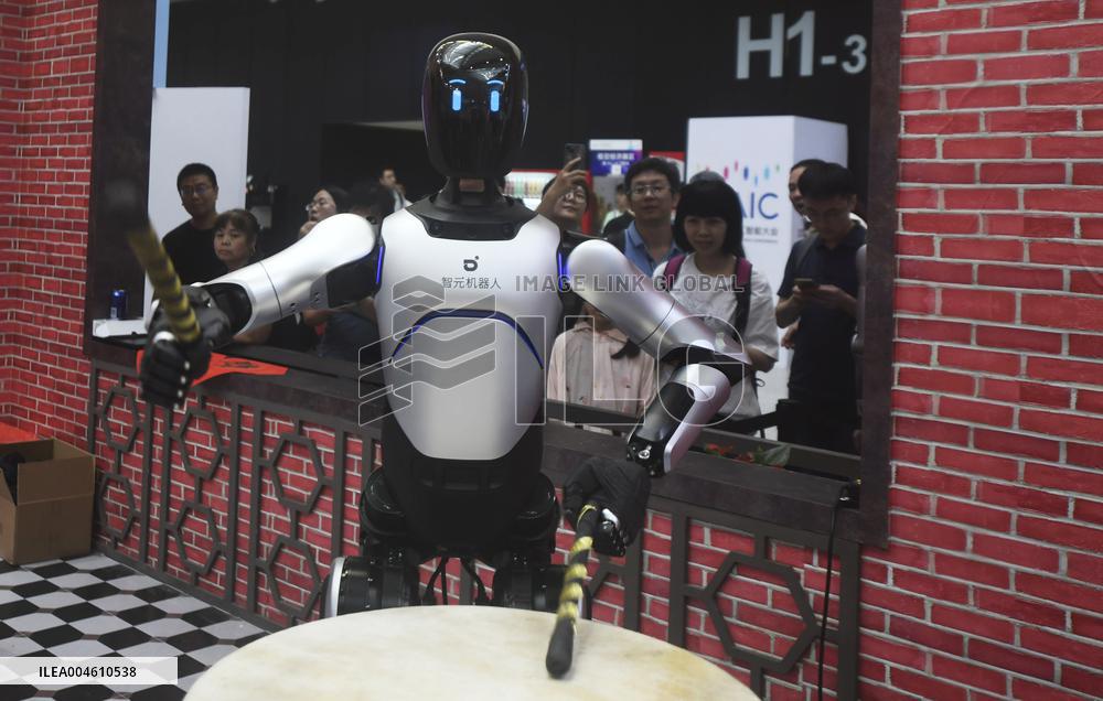Robot Performance at 2025 WAIC in Shanghai