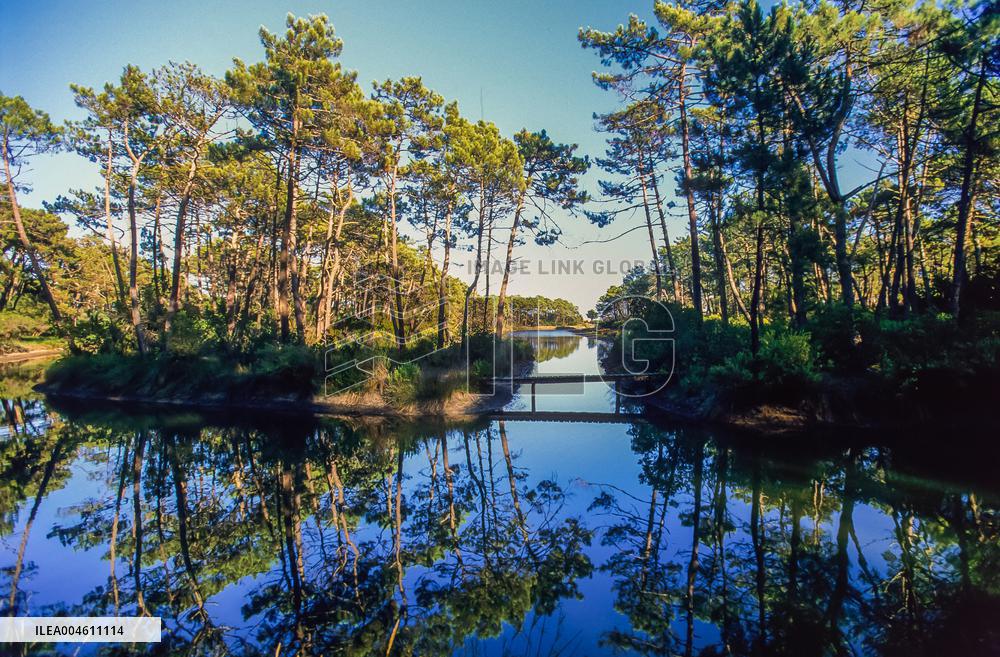 Arcachon