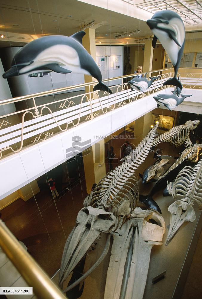 Illustration Biarritz