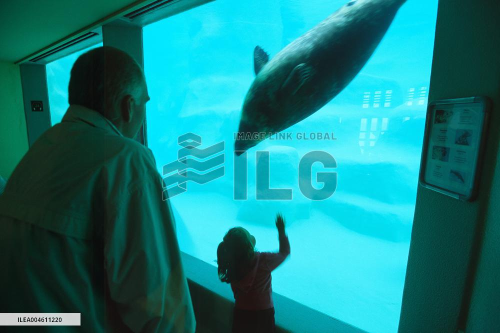 Illustration Biarritz