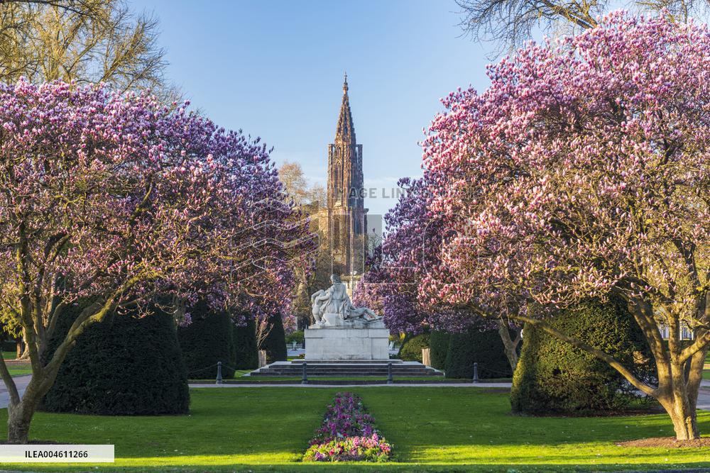 Illustration Strasbourg