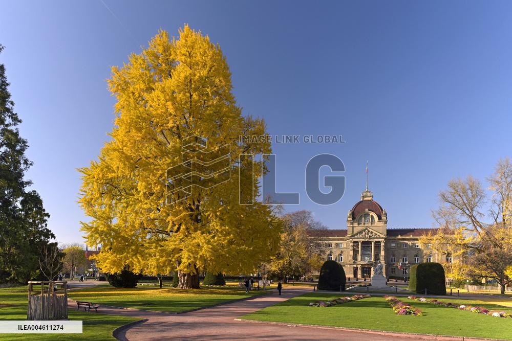 Illustration Strasbourg