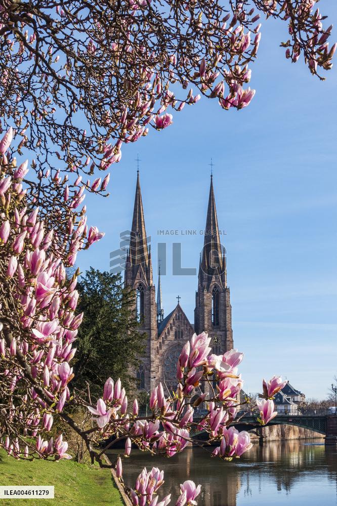 Illustration Strasbourg