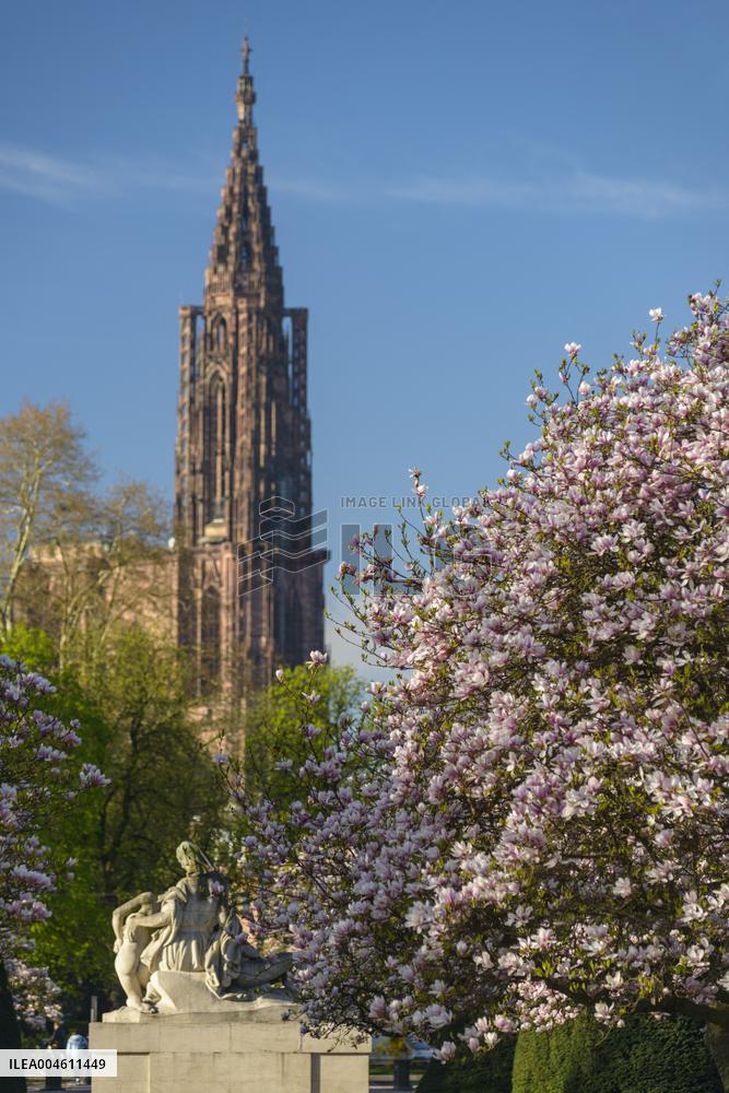 Illustration Strasbourg