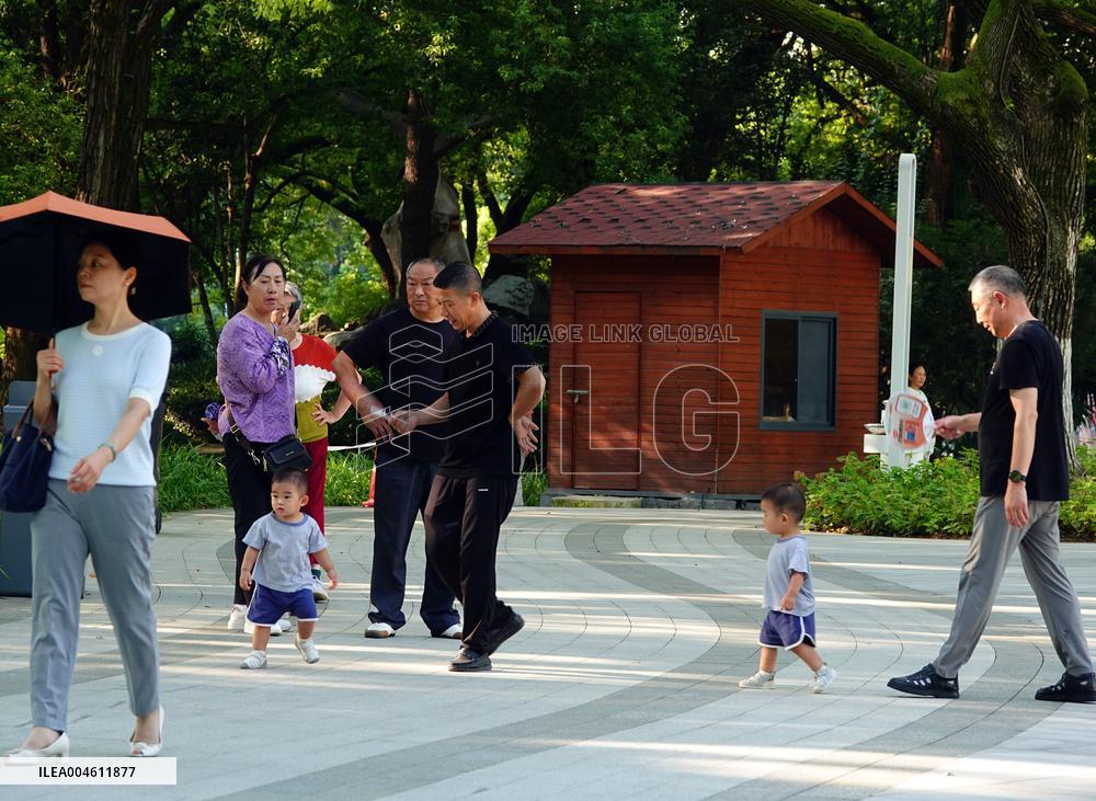 China Parenting Subsidy System