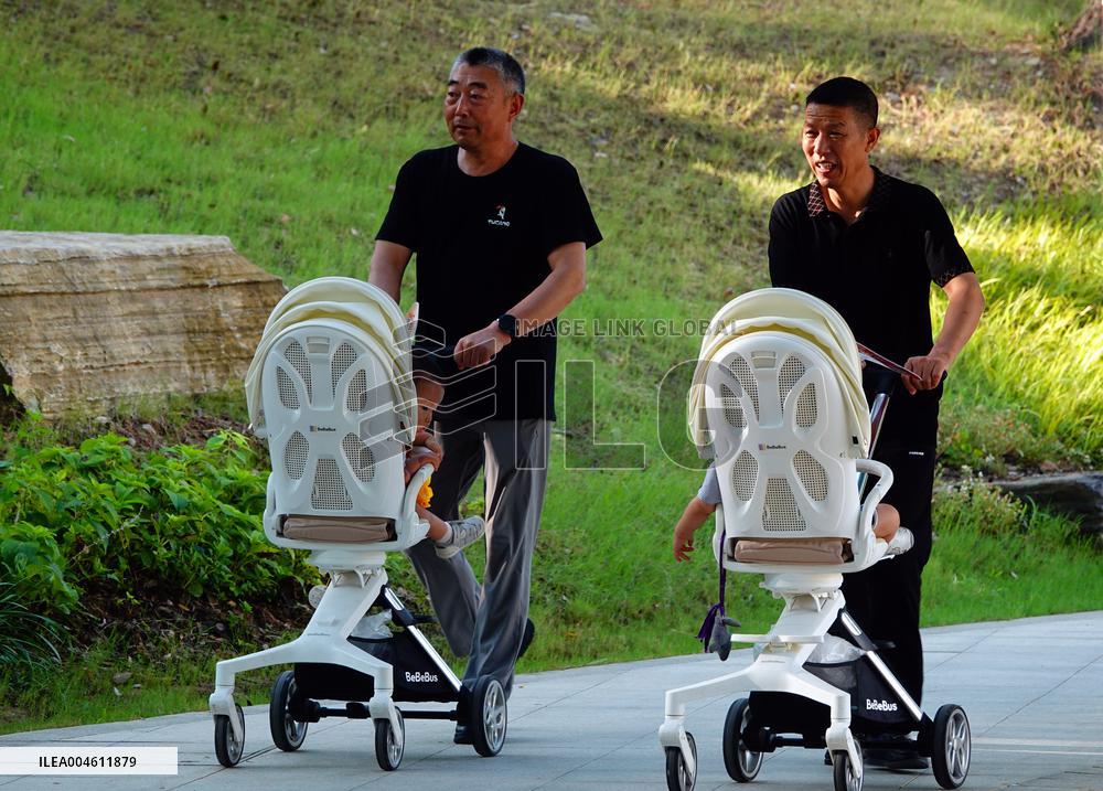 China Parenting Subsidy System