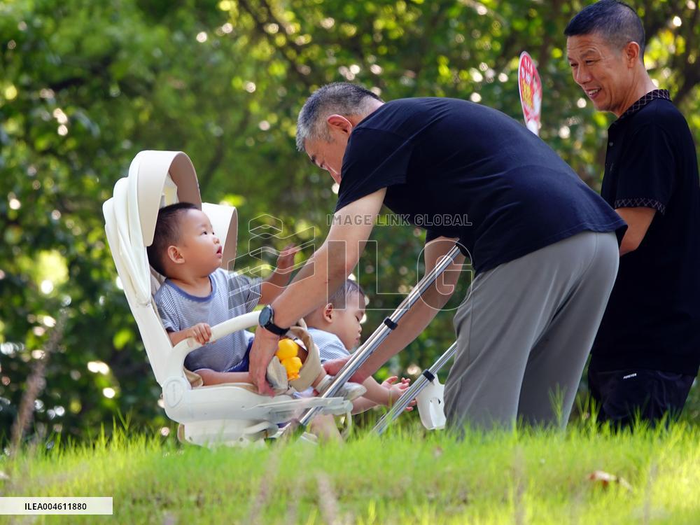 China Parenting Subsidy System