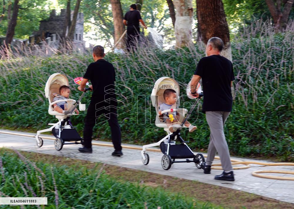 China Parenting Subsidy System