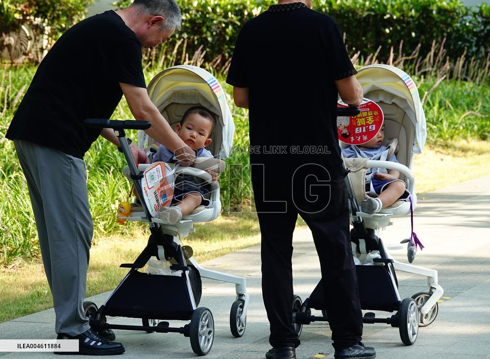 China Parenting Subsidy System