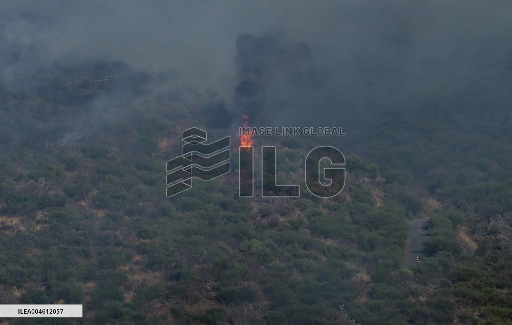 Fire Outbreak in El Tanque Troops Mobilized - Spain