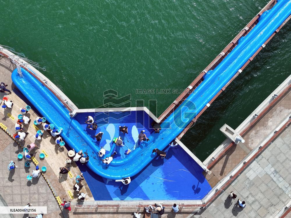 The 6th China Korea Joint Breeding and Release Event