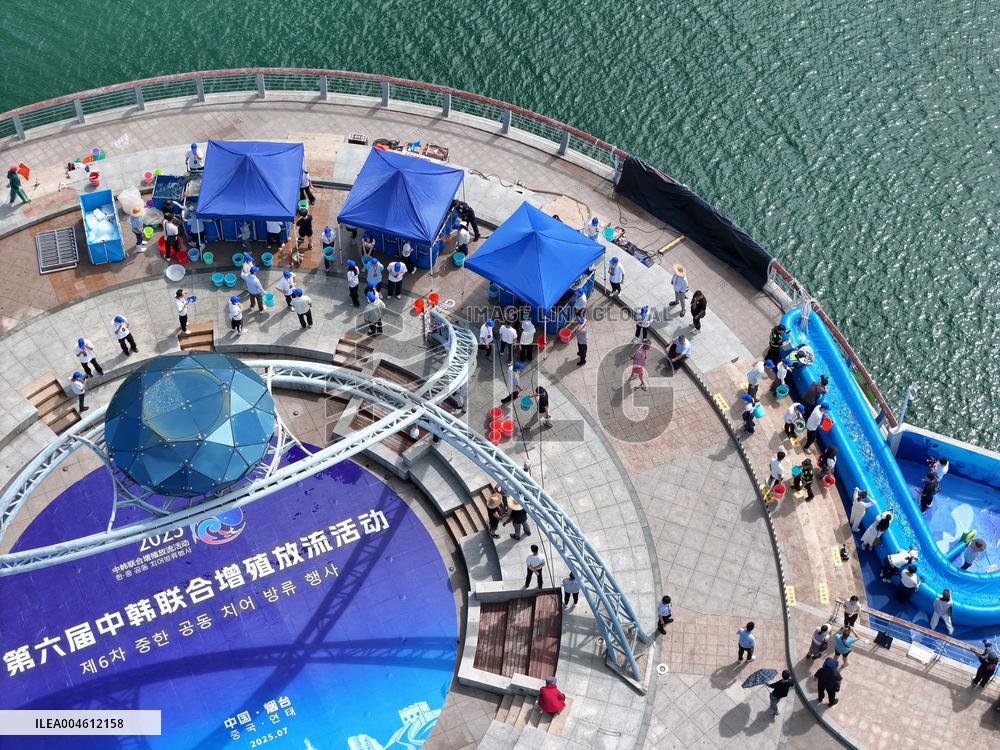 The 6th China Korea Joint Breeding and Release Event