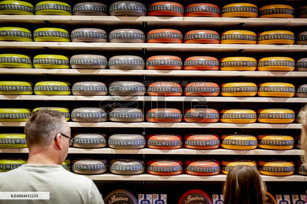 A Cheese Shop - Gouda