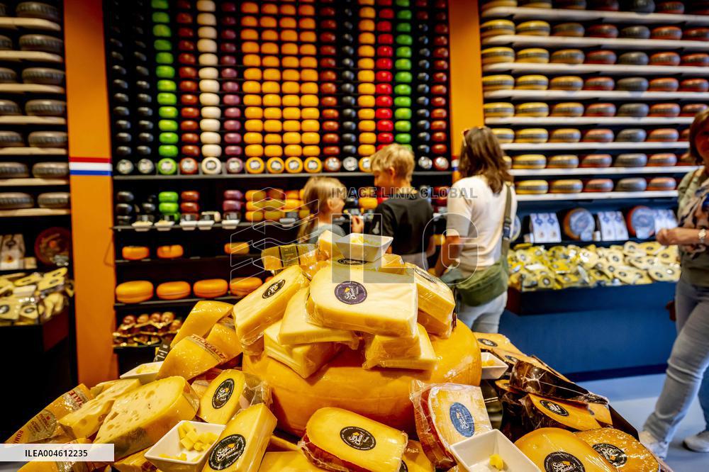 A Cheese Shop - Gouda