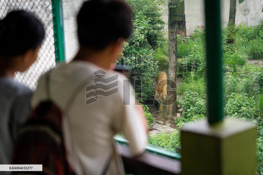 International Tiger Day - Nepal