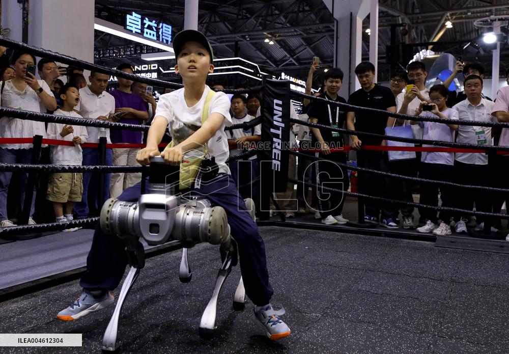 2025 World AI Conference - China