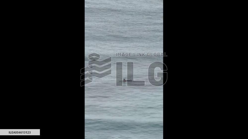 US: Man Caught Attempting to Surf Amid Tsunami Warning at Waikiki Beach