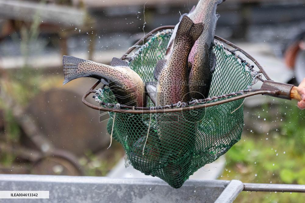 Forkala Fish Farming