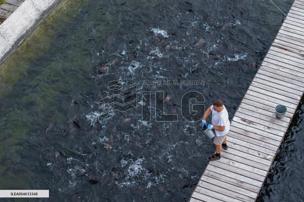 Forkala Fish Farming