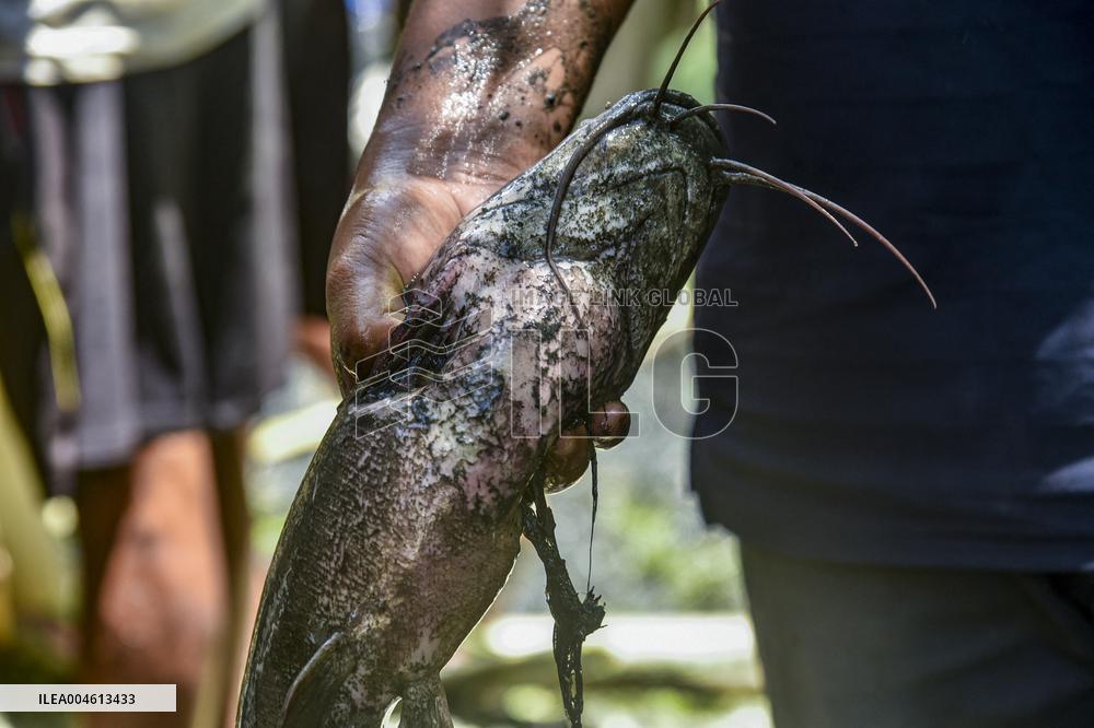 Assam Eviction Drive Targets Illegal Infiltration - India