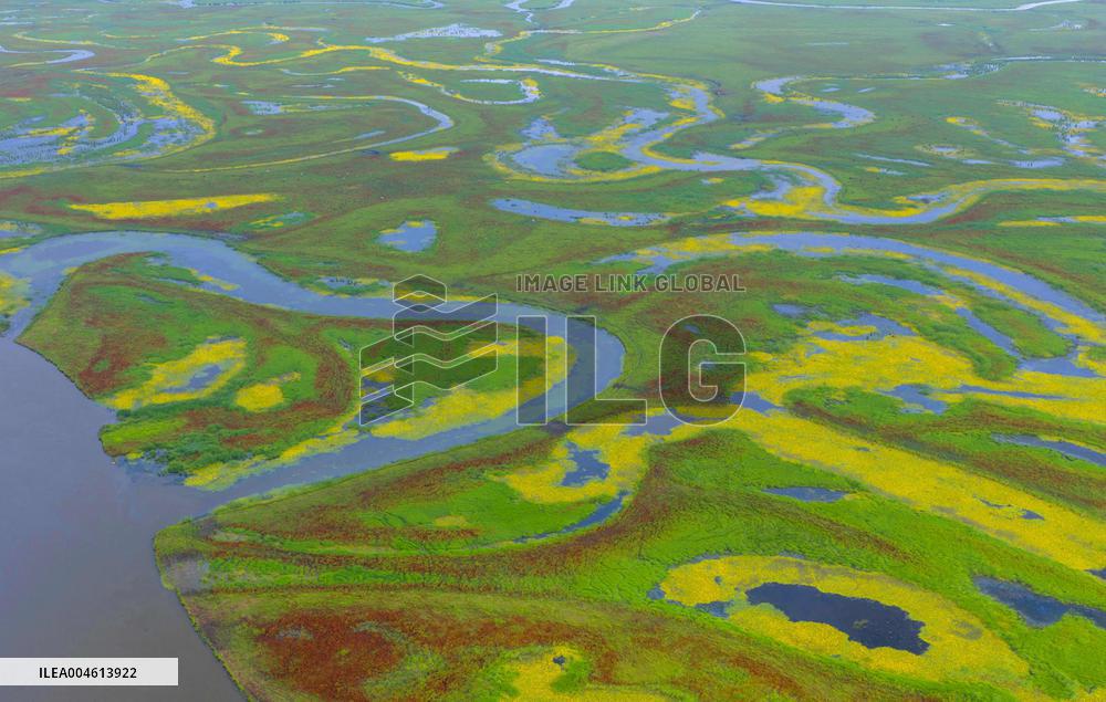 Naoli River National Natural Reserve - China