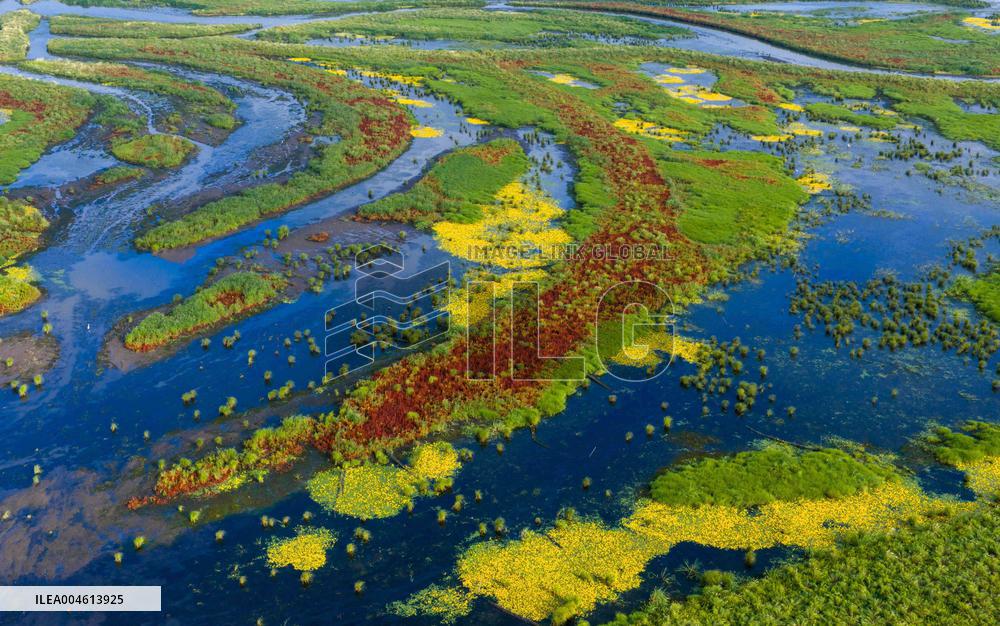 Naoli River National Natural Reserve - China
