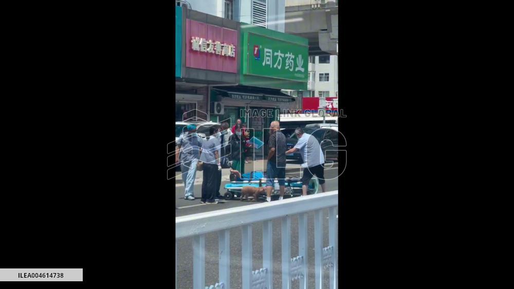 China: Loyal Poodle Joins Owner in Ambulance After Medical Emergency