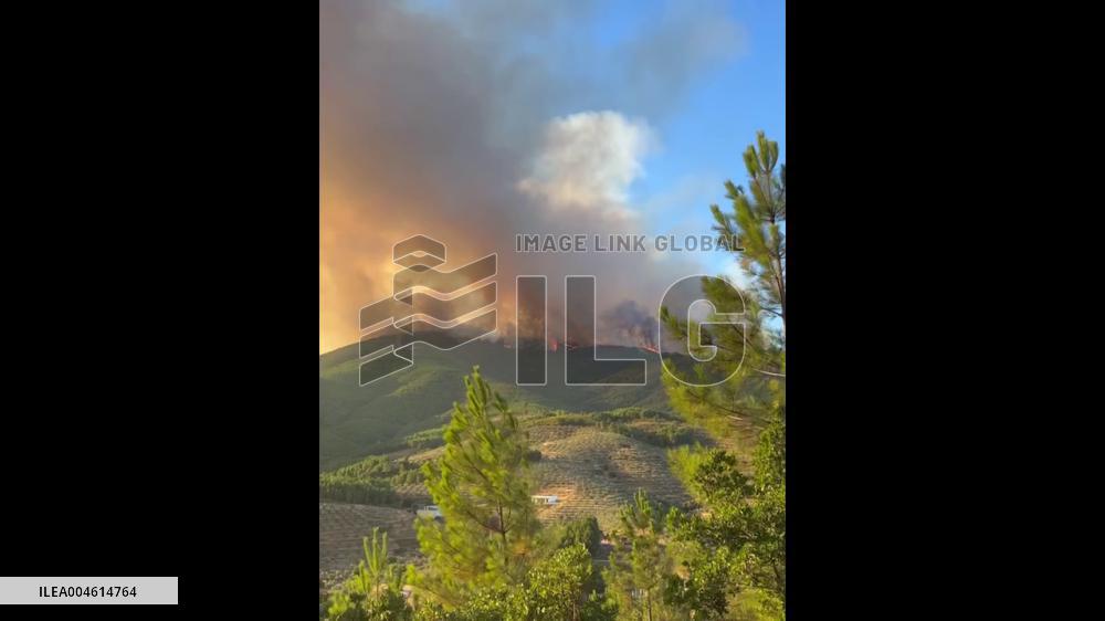 Spain: Forest Fire in Extremadura Burns 2,600 Hectares, 6 Villages Evacuated 2