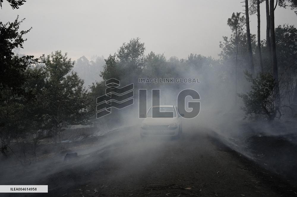 A Caniza Fire Burns 100 Hectares - Spain