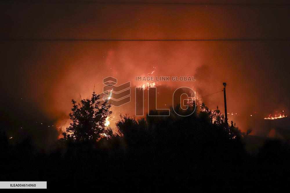 A Caniza Fire Burns 100 Hectares - Spain