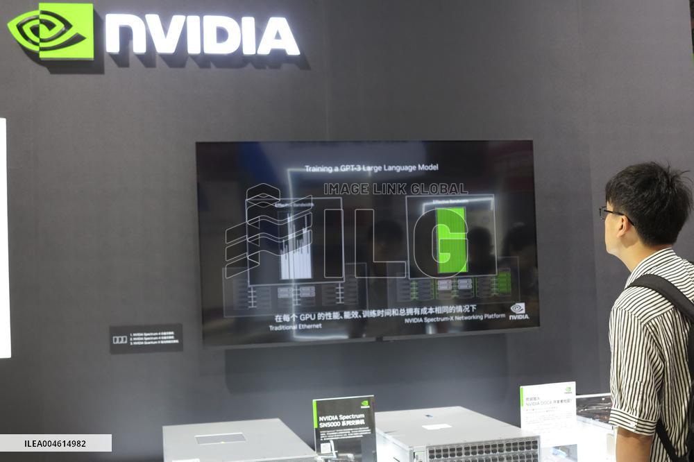 NVIDIA H20 Chip