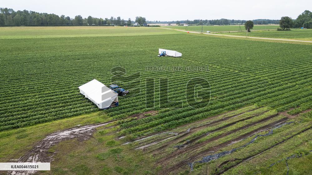 Farmers struggling due to rainy summer