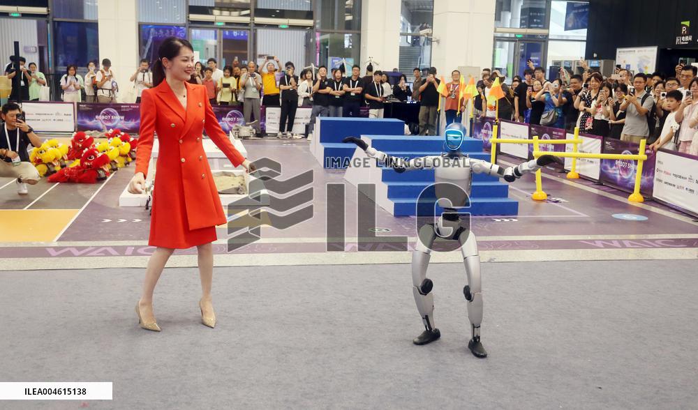 Robot Performance at 2025 WAIC in Shanghai