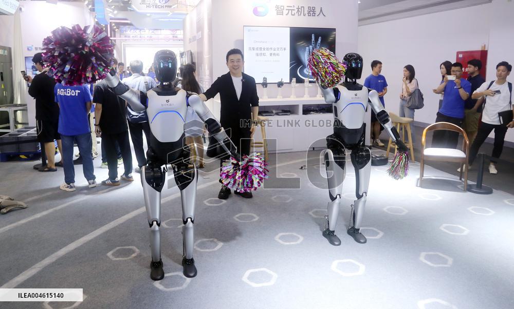 Robot Performance at 2025 WAIC in Shanghai