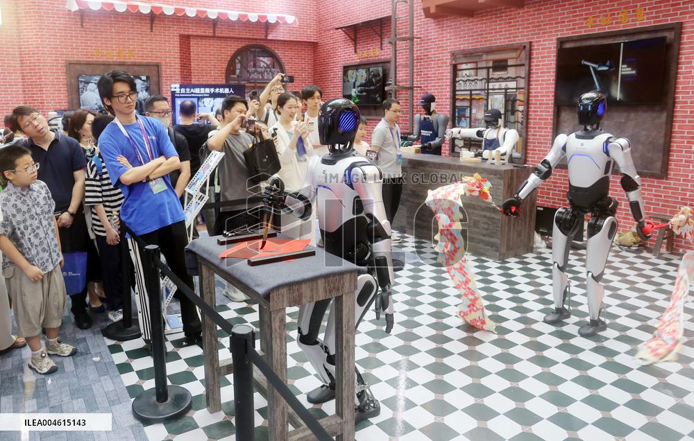 Robot Performance at 2025 WAIC in Shanghai