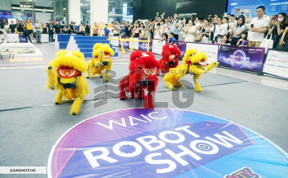 Robot Performance at 2025 WAIC in Shanghai