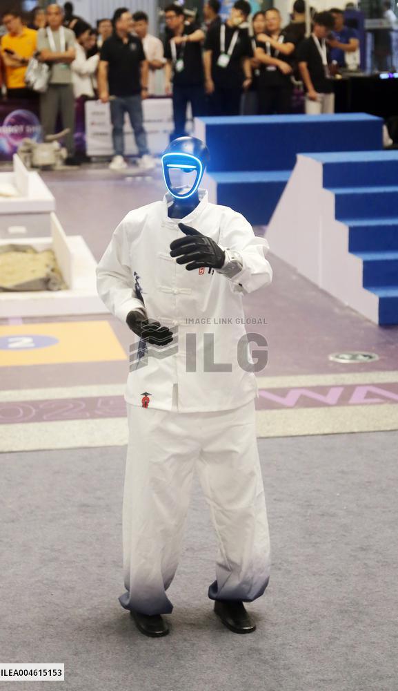 Robot Performance at 2025 WAIC in Shanghai