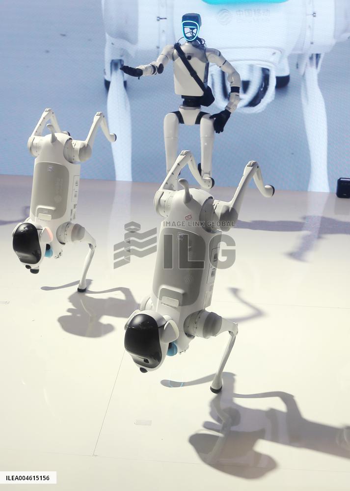 Robot Performance at 2025 WAIC in Shanghai